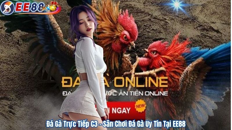 Đá Gà Trực Tiếp C3 - Sân Chơi Đá Gà Uy Tín Tại EE88